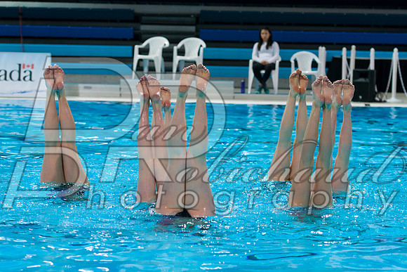 D50_4121.jpg