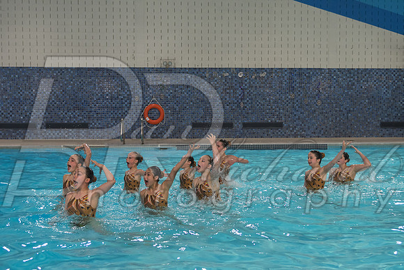 DSC_3753.jpg