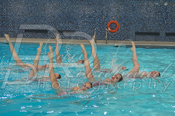 DSC_3906.jpg