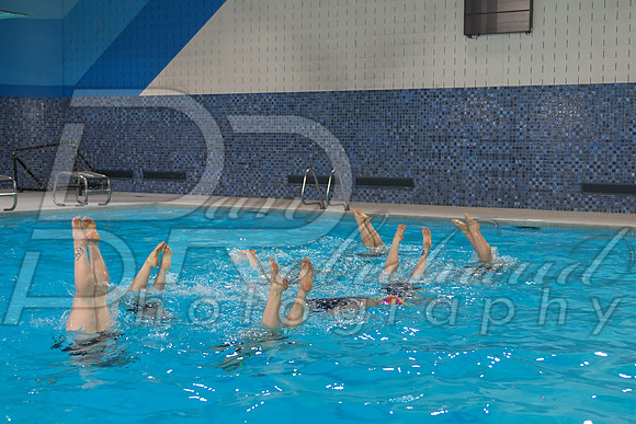 DSC_3260.jpg