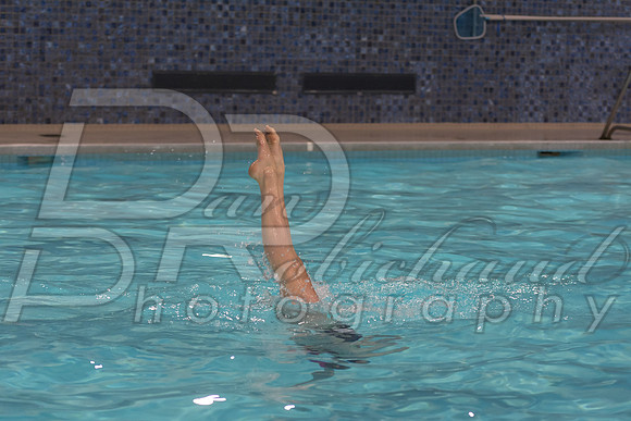 DSC_4491.jpg