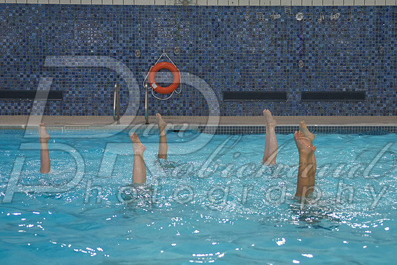 DSC_4551.jpg