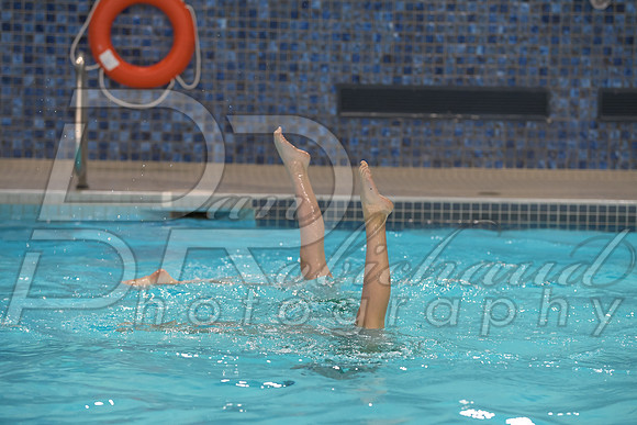 DSC_0523.jpg