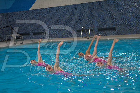 DSC_4826.jpg