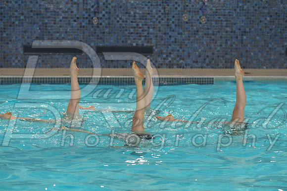 DSC_9990.jpg