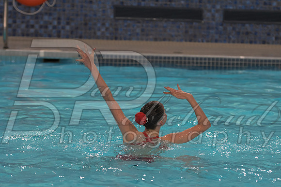 DSC_4323.jpg