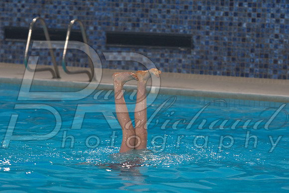 DSC_4338.jpg