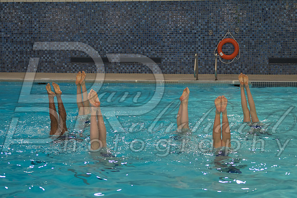 DSC_4365.jpg