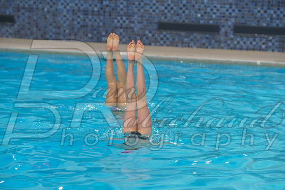 DSC_0269.jpg