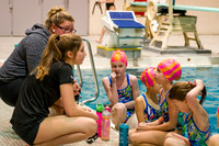2016-12-18 Nepean Synchro Christmas Demo