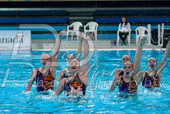 D50_4117.jpg