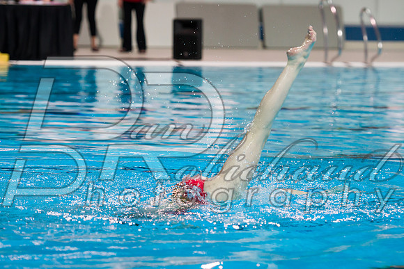 D50_3728.jpg