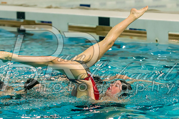 D50_5383.jpg