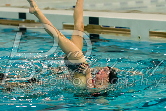 D50_5382.jpg