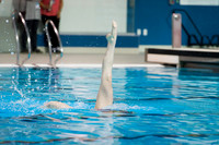 D50_3700.jpg