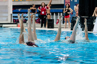 D50_7328.jpg