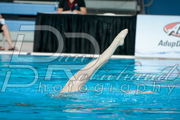 D50_3691.jpg