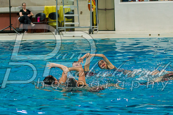 D50_5333.jpg