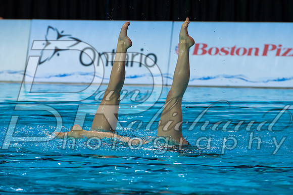 D50_0523.jpg